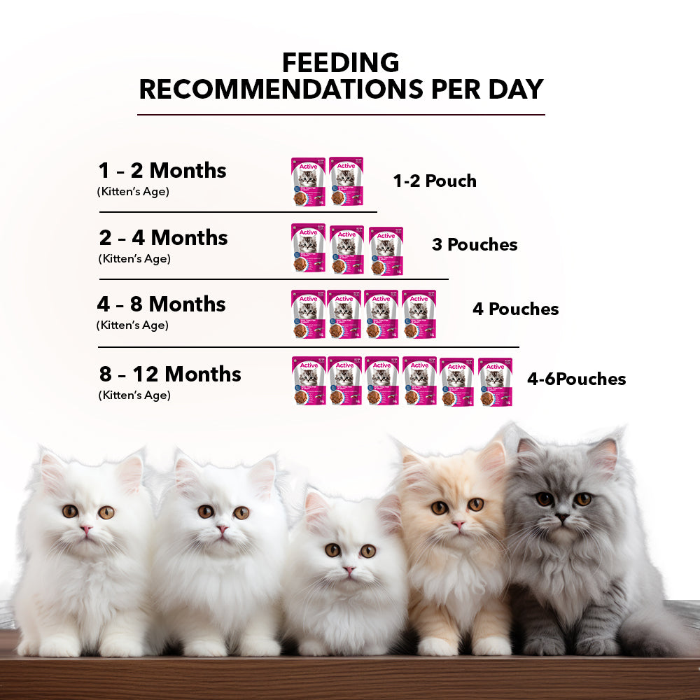 Active Real Tuna Fish in Gravy Kitten Cat Wet Food (Buy 1 Get 1) Cats-Wet Food Active