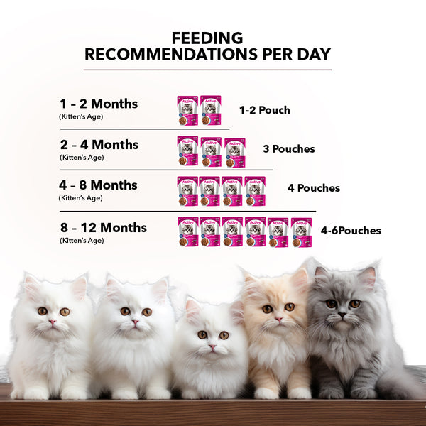 Active Real Tuna Fish in Gravy Kitten Cat Wet Food (Buy 1 Get 1)