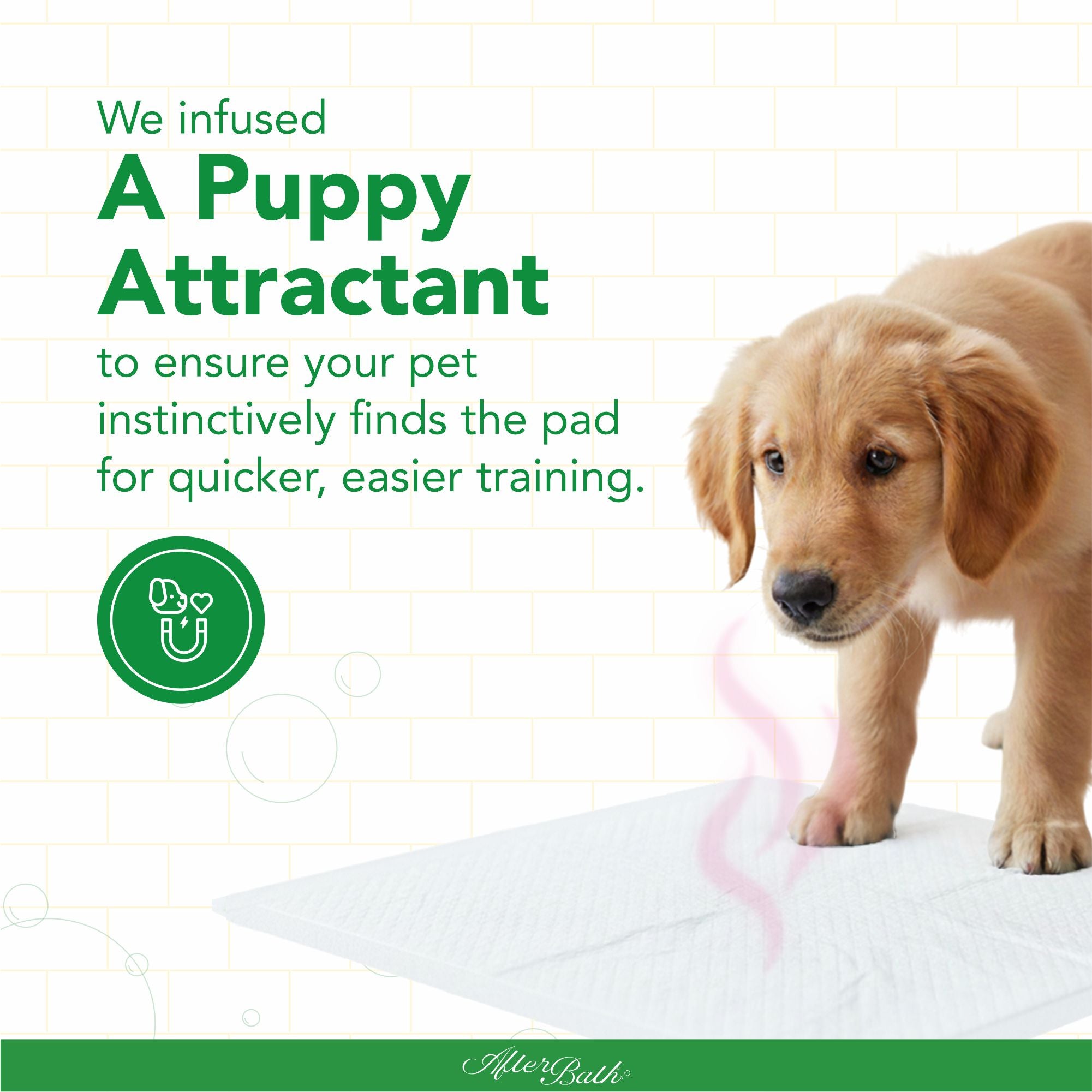 Afterbath SuperDry Training Pads for Dogs & Cats (60x60cm) Both-Health & Wellness Afterbath