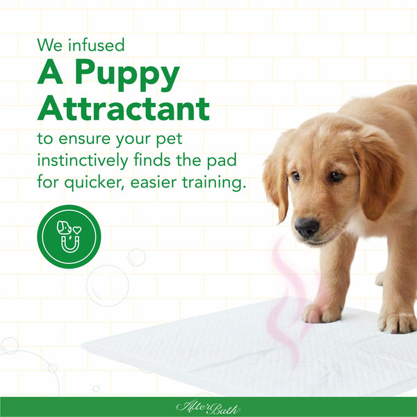 Afterbath SuperDry Training Pads for Dogs & Cats (60x60cm)