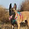 Truelove Escape Proof Harness for Dogs (Army Green) Dogs-Collar, Leashes, harnesses Truelove