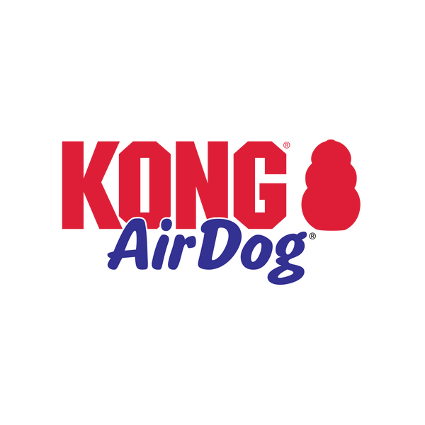 Kong AirDog Bone Toy for Dogs (Yellow)