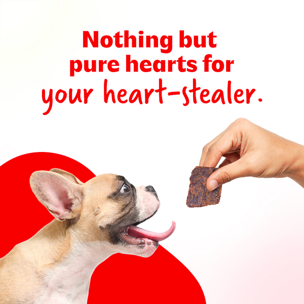 Right4Paws Chicken Heart Dog Treats