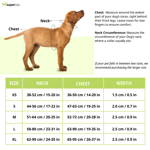 Hunter Aalborg Adjustable Leather Harness for Dogs (Cognac)