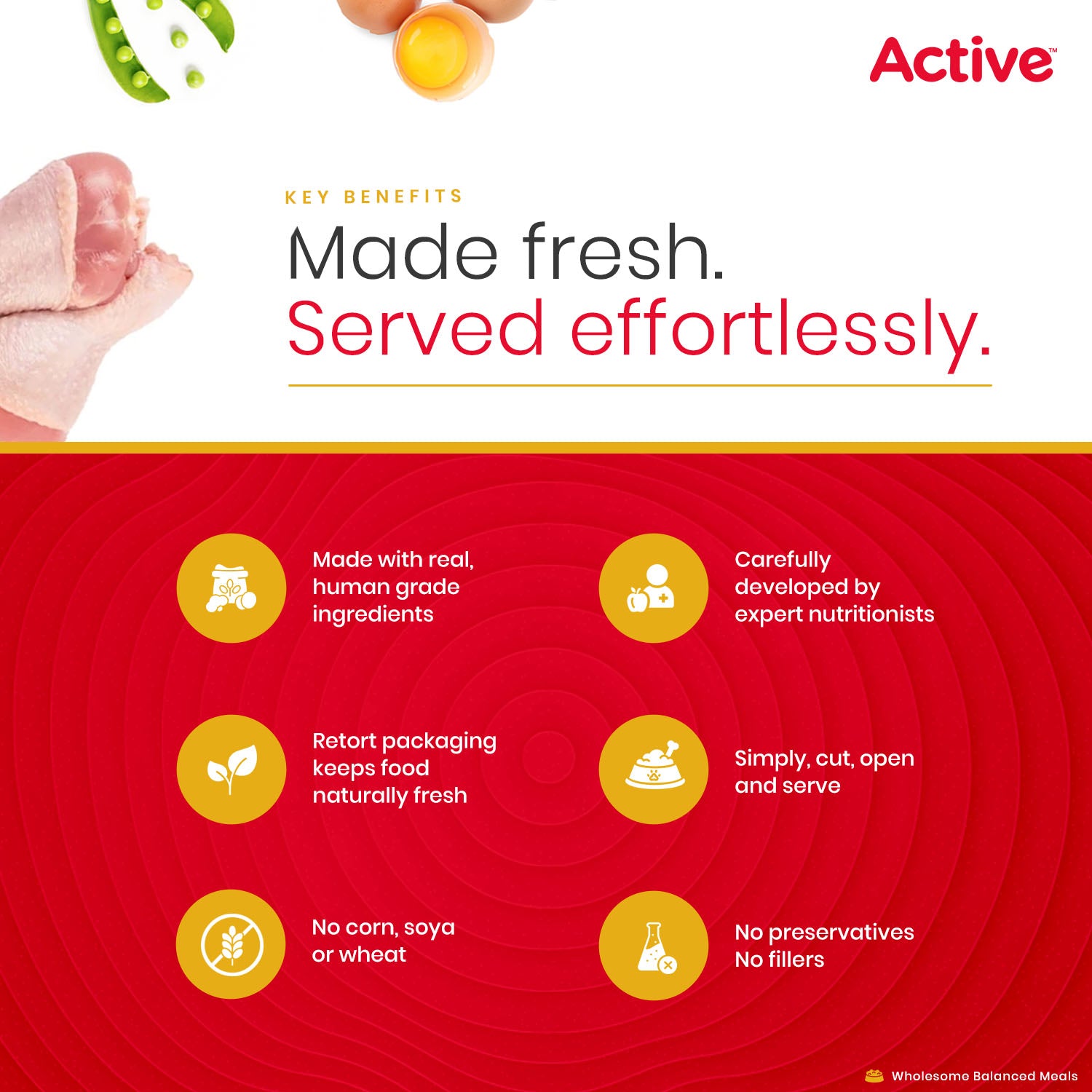 Active Chicken Biryani Fresh Food for Dogs (Buy 1 Get 1) Dogs-Fresh Food Active