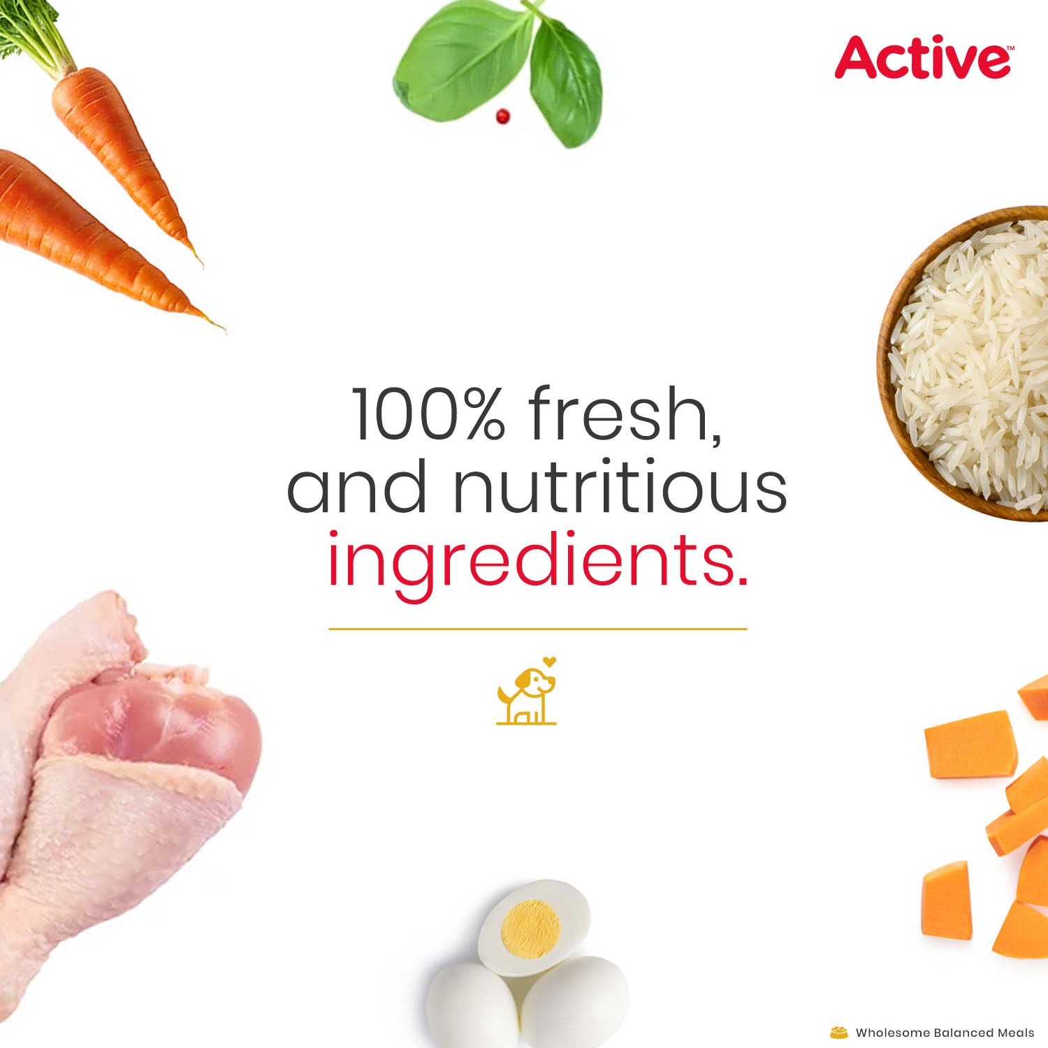 Active Chicken Biryani Fresh Food for Dogs (Buy 1 Get 1) Dogs-Fresh Food Active