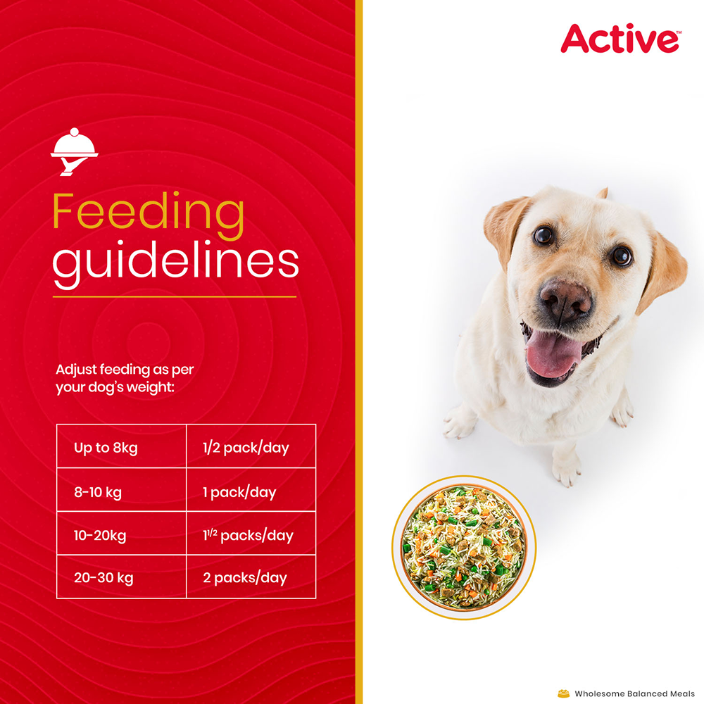 Active Chicken Biryani Fresh Food for Dogs Dogs-Wet Food Active