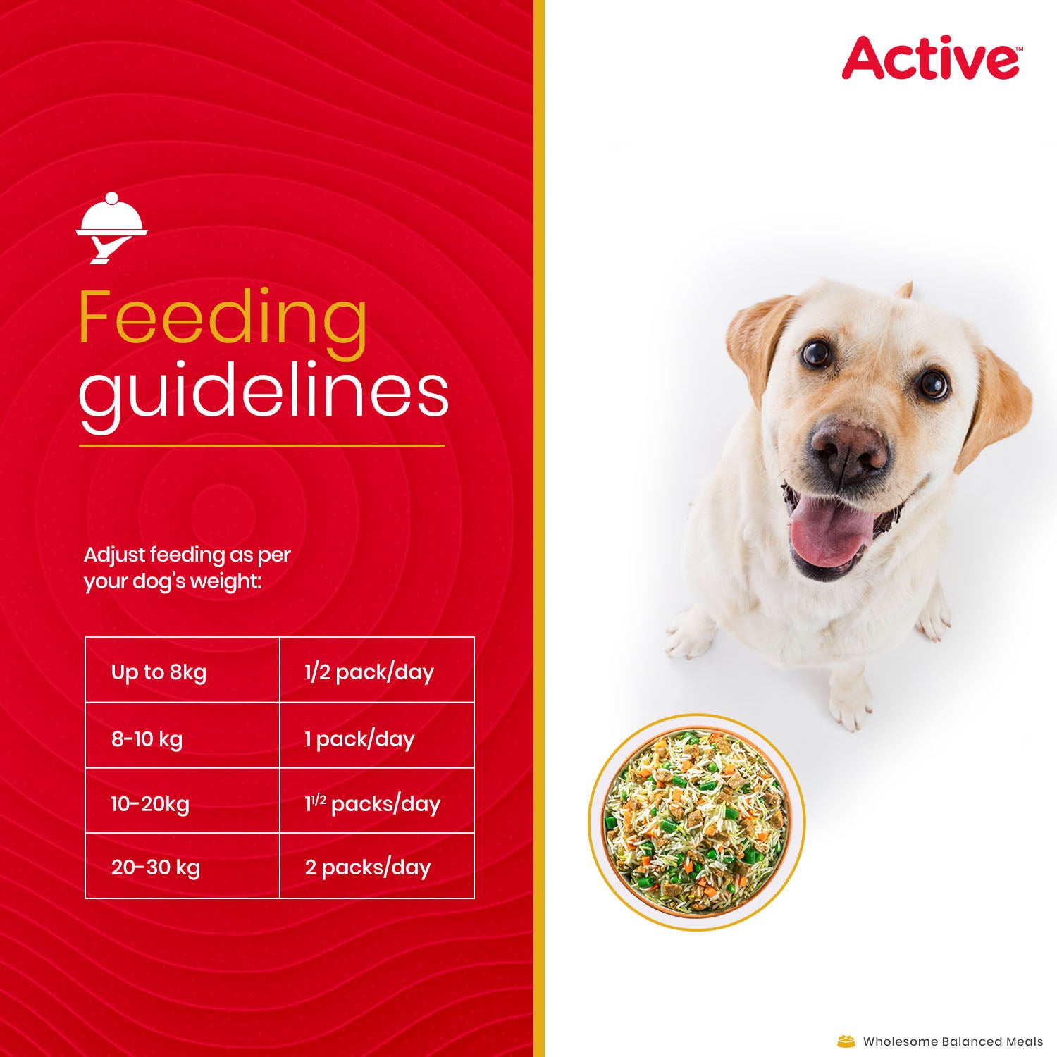 Active Chicken Biryani Fresh Food for Dogs (Buy 1 Get 1) Dogs-Fresh Food Active
