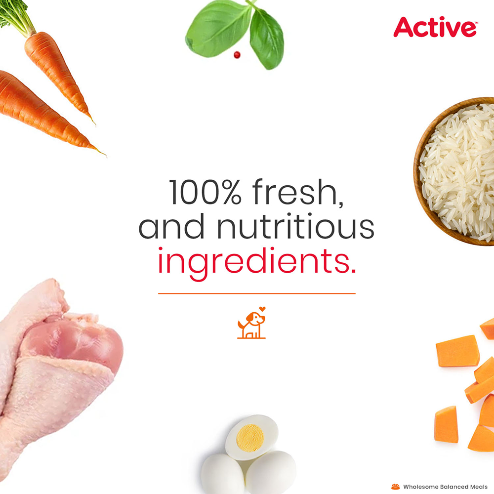 Active Chicken and Pumpkin Biryani Fresh Food For Dogs Dogs-Wet Food Active