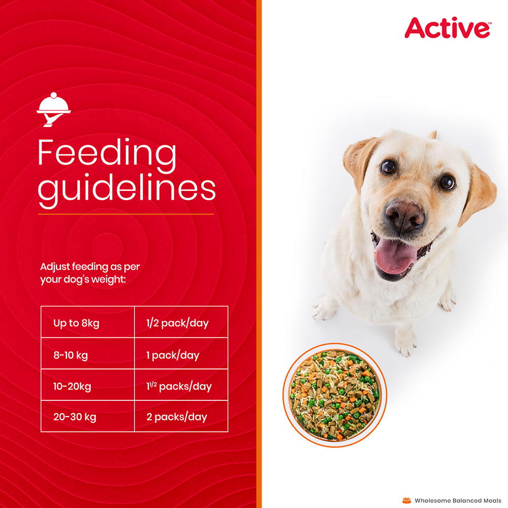 Active Chicken and Pumpkin Biryani Fresh Food For Dogs Dogs-Wet Food Active