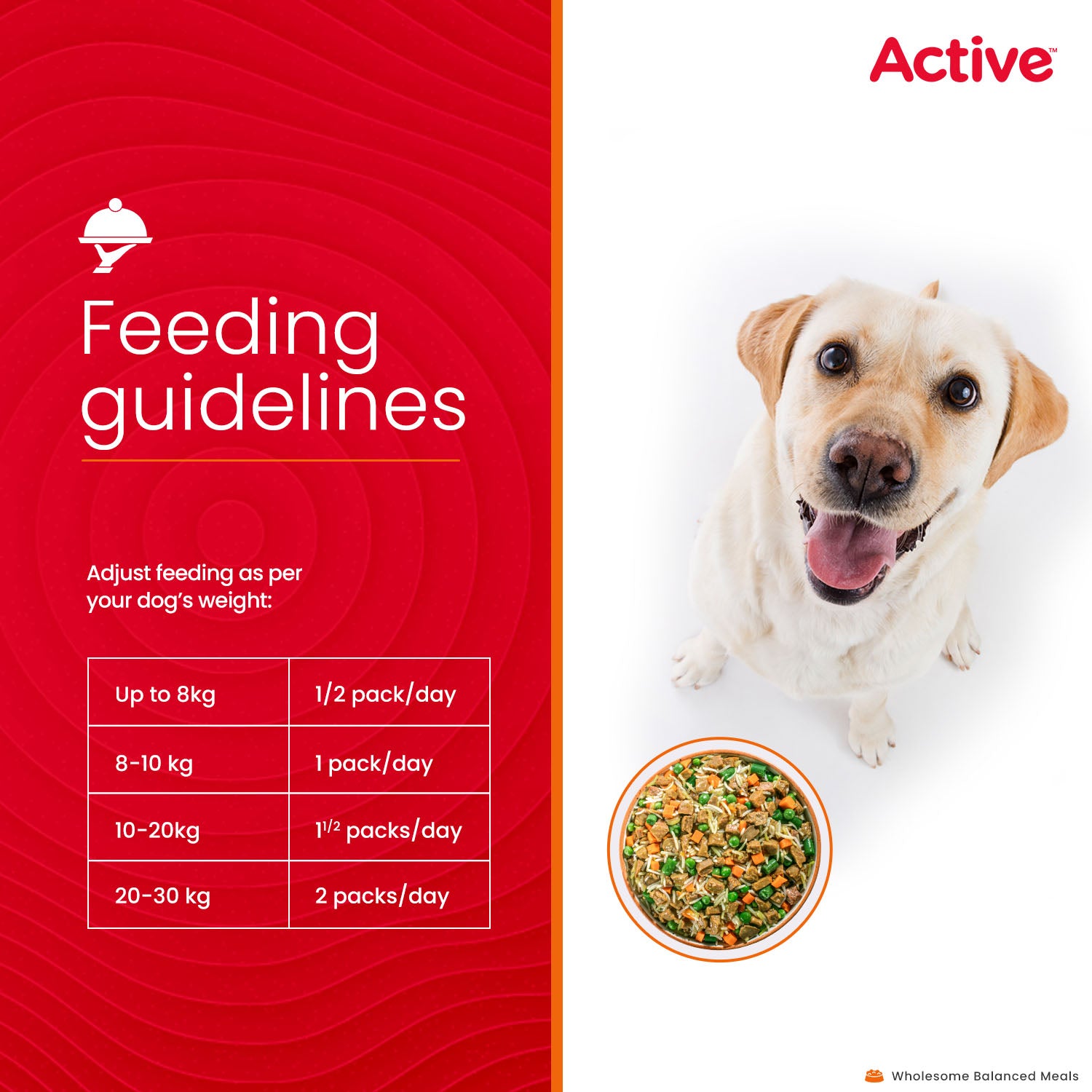 Active Chicken and Pumpkin Biryani Fresh Food For Dogs (Buy 1 Get 1) Dogs-Fresh Food Active