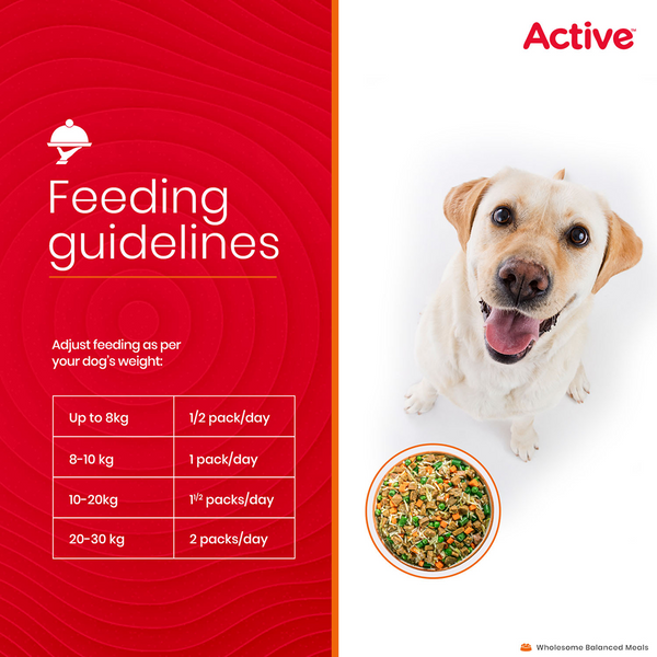 Active Chicken and Pumpkin Biryani Fresh Food For Dogs