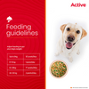 Active Chicken and Pumpkin Biryani Fresh Food For Dogs Dogs-Wet Food Active