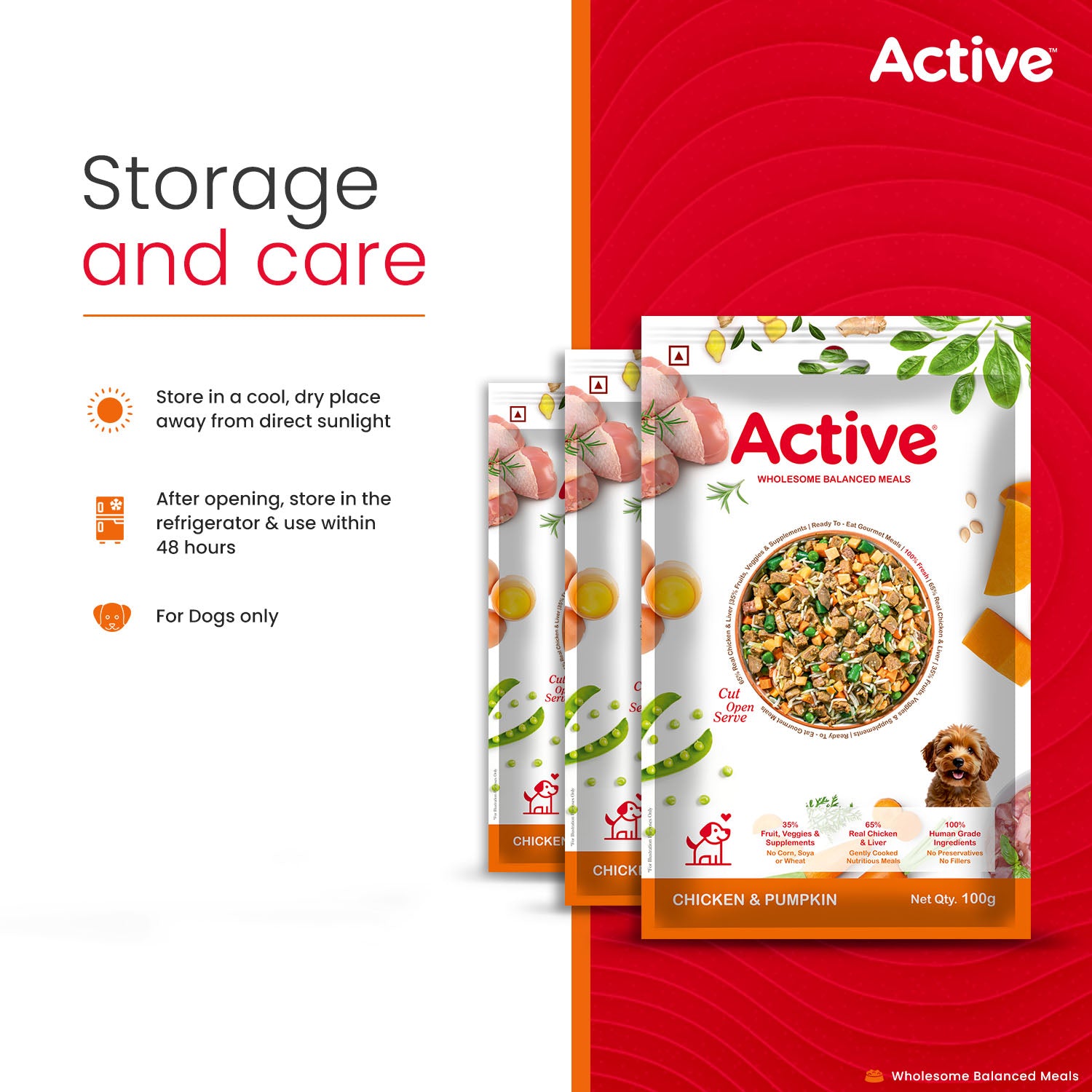 Active Chicken and Pumpkin Biryani Fresh Food For Dogs (Buy 1 Get 1) Dogs-Fresh Food Active