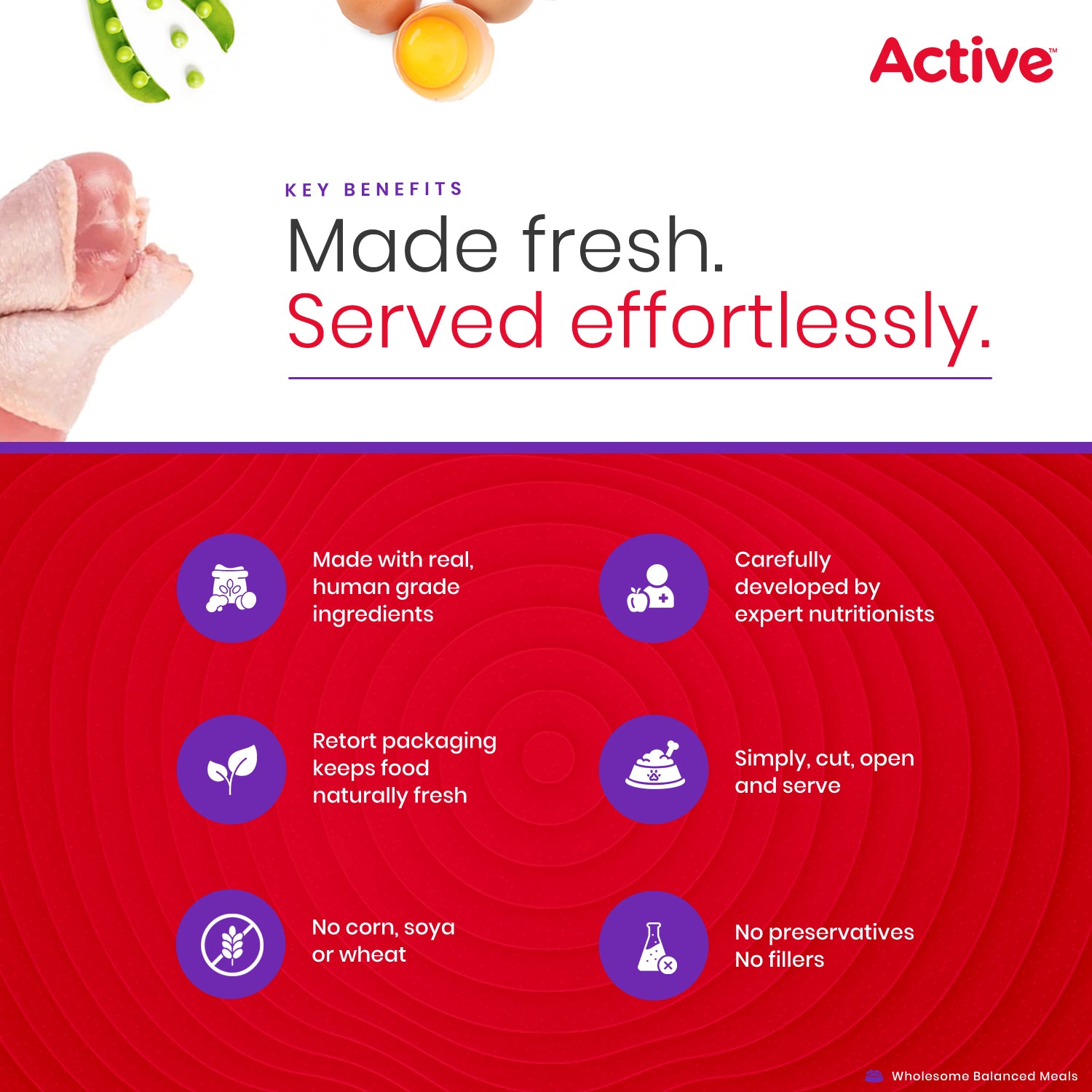 Active Chicken and Vegetable Biryani Fresh Food for Dogs (Buy 1 Get 1) Dogs-Fresh Food Active