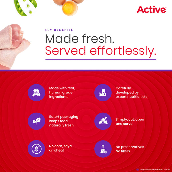 Active Chicken and Vegetable Biryani Fresh Food for Dogs (Buy 1 Get 1)