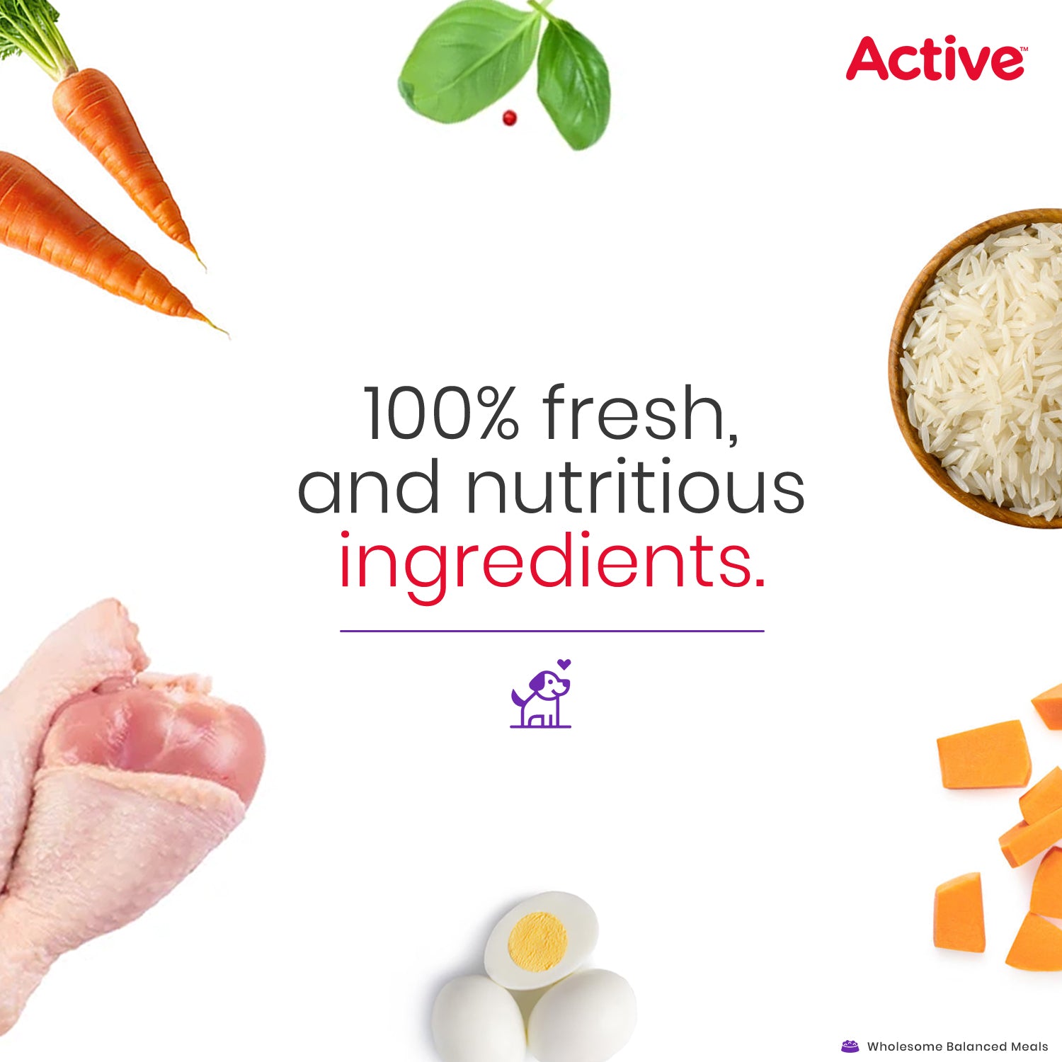 Active Chicken and Vegetable Biryani Fresh Food for Dogs (Buy 1 Get 1) Dogs-Fresh Food Active