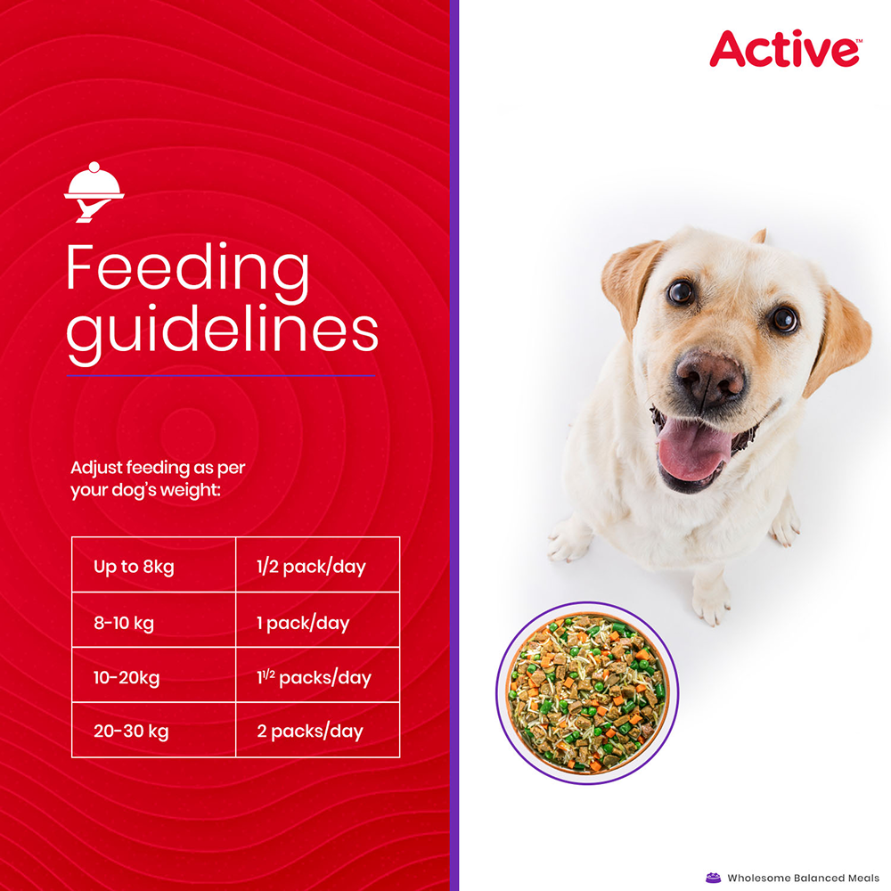 Active Chicken and Vegetable Biryani Fresh Food for Dogs Dogs-Wet Food Active