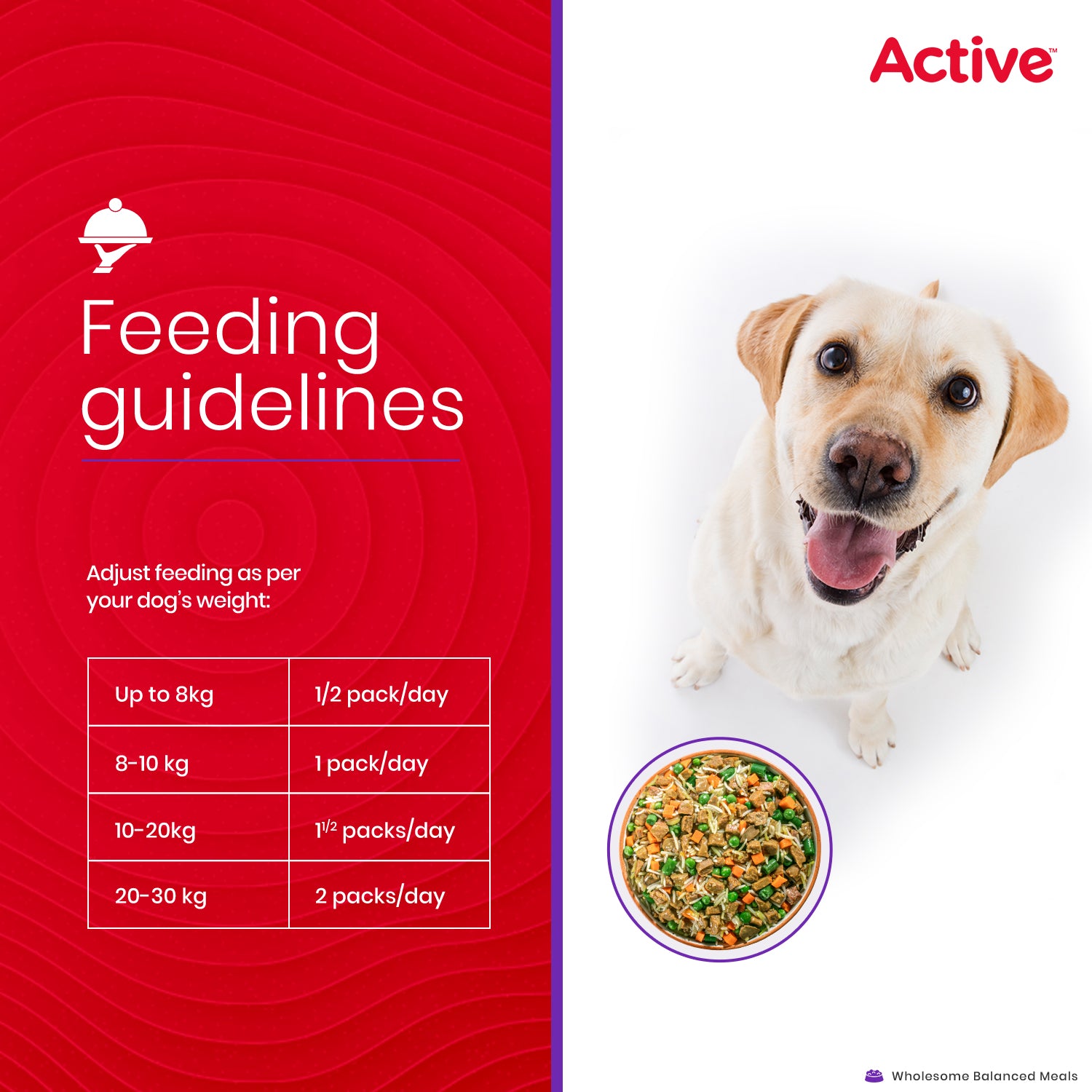 Active Chicken and Vegetable Biryani Fresh Food for Dogs (Buy 1 Get 1) Dogs-Fresh Food Active