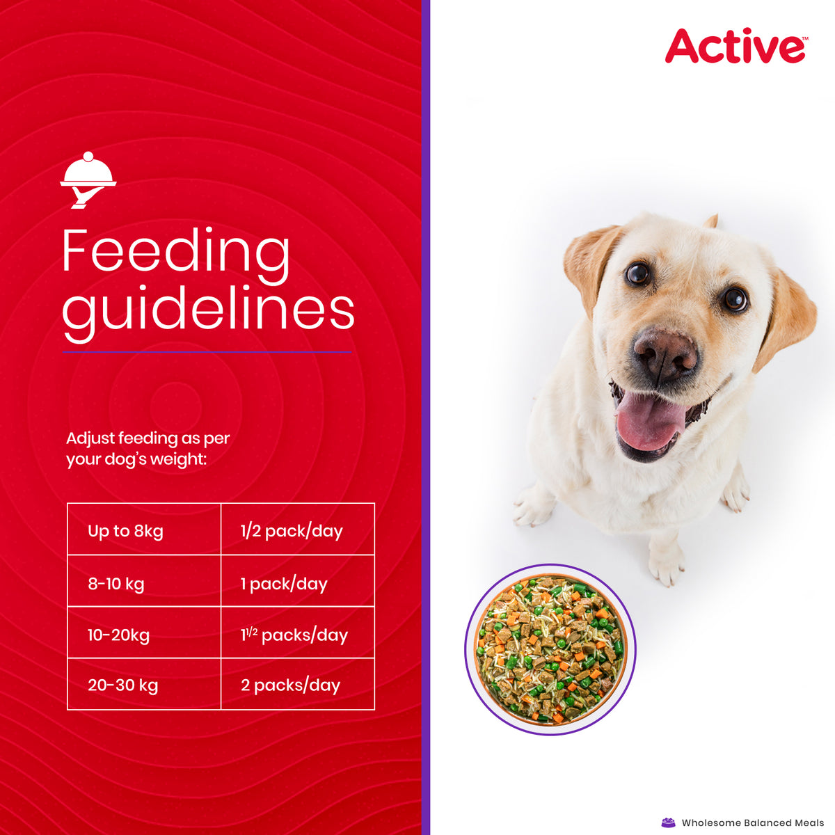 Active Chicken and Vegetable Biryani Fresh Food for Dogs (Buy 1 Get 1) Dogs-Fresh Food Active