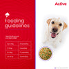 Active Chicken and Vegetable Biryani Fresh Food for Dogs (Buy 1 Get 1) Dogs-Fresh Food Active