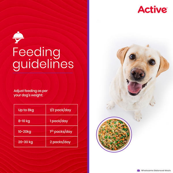 Active Chicken and Vegetable Biryani Fresh Food for Dogs