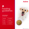 Active Chicken and Vegetable Biryani Fresh Food for Dogs Dogs-Wet Food Active