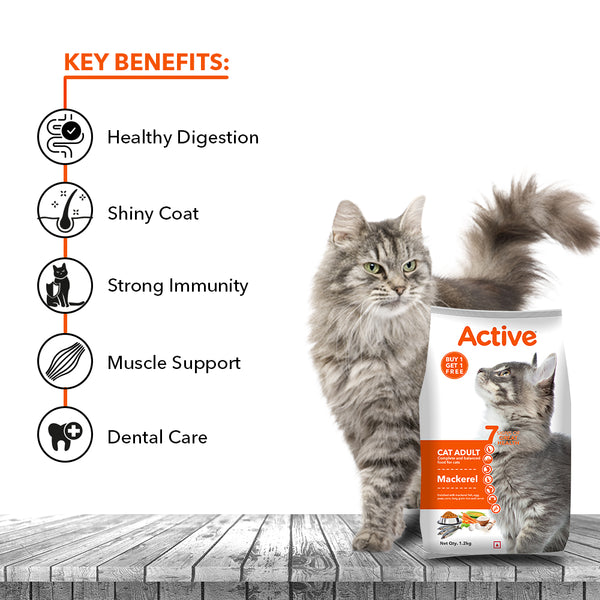 Active Mackerel Adult Cat Dry Food (Buy 1 Get 1)