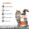 Active Mackerel Adult Cat Dry Food (Buy 1 Get 1) Cats- Dry food Active