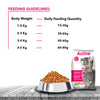 Active Tuna and Salmon Adult Cat Dry Food (Buy 1 Get 1) Cats- Dry food Active