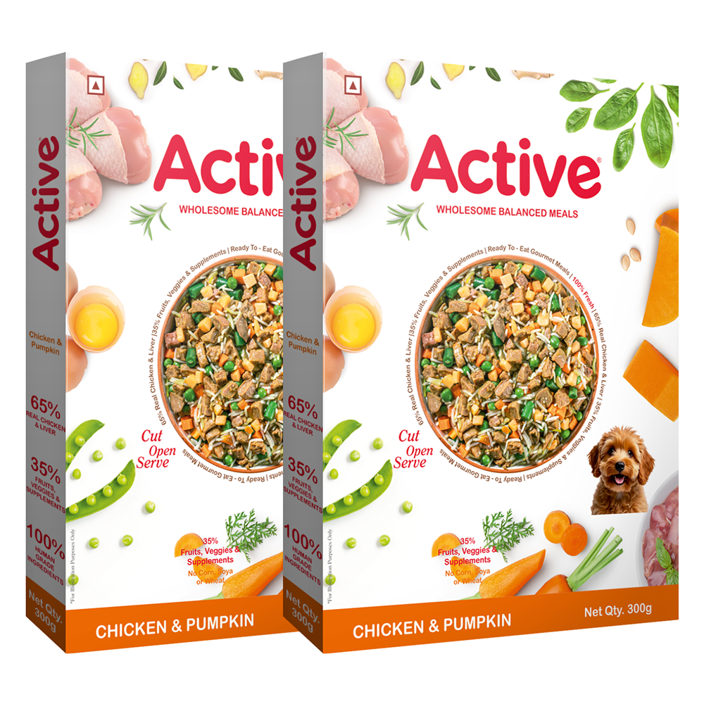 Active Chicken and Pumpkin Biryani Fresh Food For Dogs Dogs-Wet Food Active