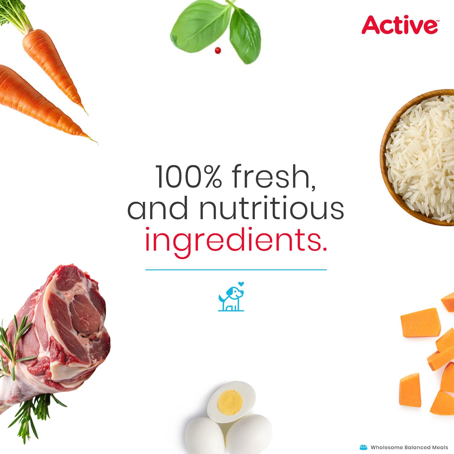 Active Mutton Biryani Fresh Food for Dogs (Buy 1 Get 1) Dogs-Fresh Food Active