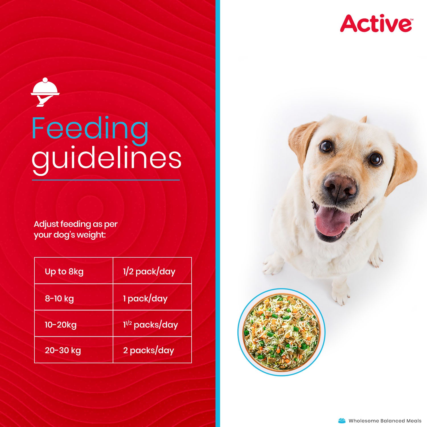 Active Mutton Biryani Fresh Food for Dogs (Buy 1 Get 1) Dogs-Fresh Food Active