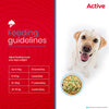 Active Mutton Biryani Fresh Food for Dogs (Buy 1 Get 1) Dogs-Fresh Food Active