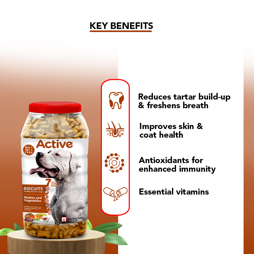 Active Mutton & Vegetable Flavour Biscuit Dog Treats (Buy 1 Get 1) Dog Treats + Others Active