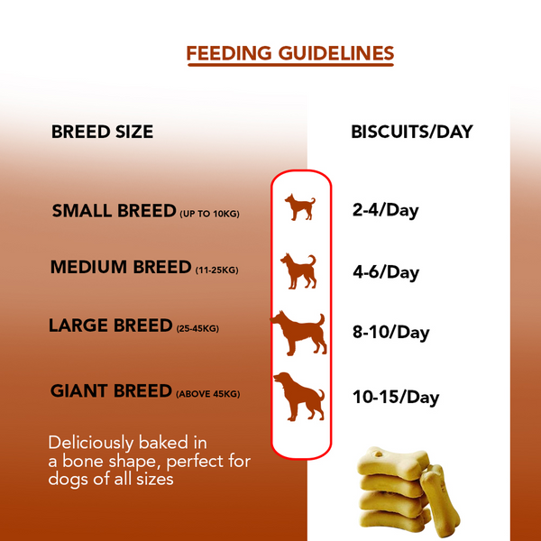 Active Mutton & Vegetable Flavour Biscuit Dog Treats