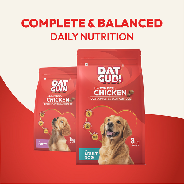 DatGud Chicken & Brown Rice Adult Dog Dry Food (Buy 1 Get 1 Free)