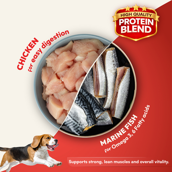 DatGud Chicken & Brown Rice Adult Dog Dry Food (Buy 1 Get 1 Free)