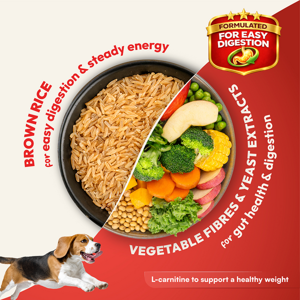 DatGud Chicken & Brown Rice Adult Dog Dry Food (Buy 1 Get 1 Free)