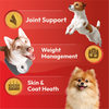 DatGud Chicken & Brown Rice Adult Dog Dry Food (Buy 1 Get 1 Free) Dogs- Dry Food DatGud