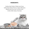 Active Real Ocean Fish in Gravy Adult Cat Wet Food ( Buy 1 Get 1) Cats-Wet Food Active
