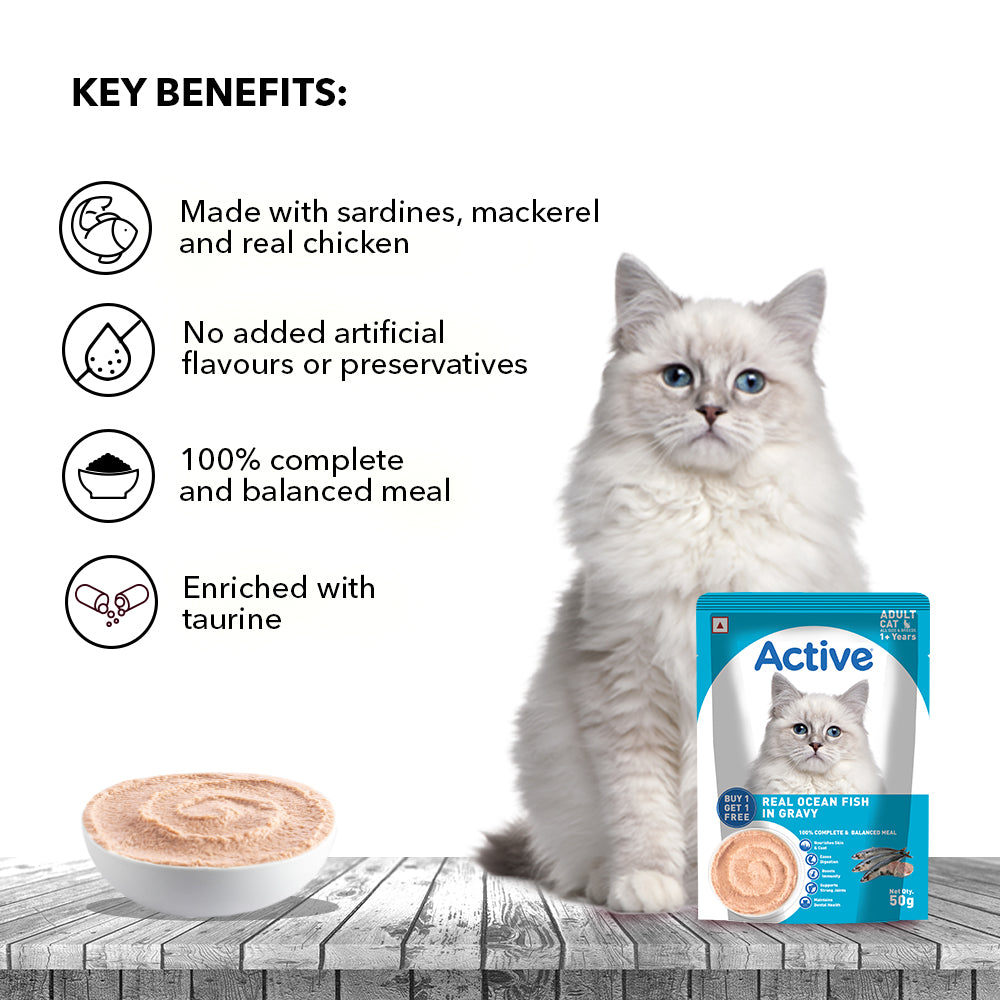 Active Real Ocean Fish in Gravy Adult Cat Wet Food ( Buy 1 Get 1) Cats-Wet Food Active