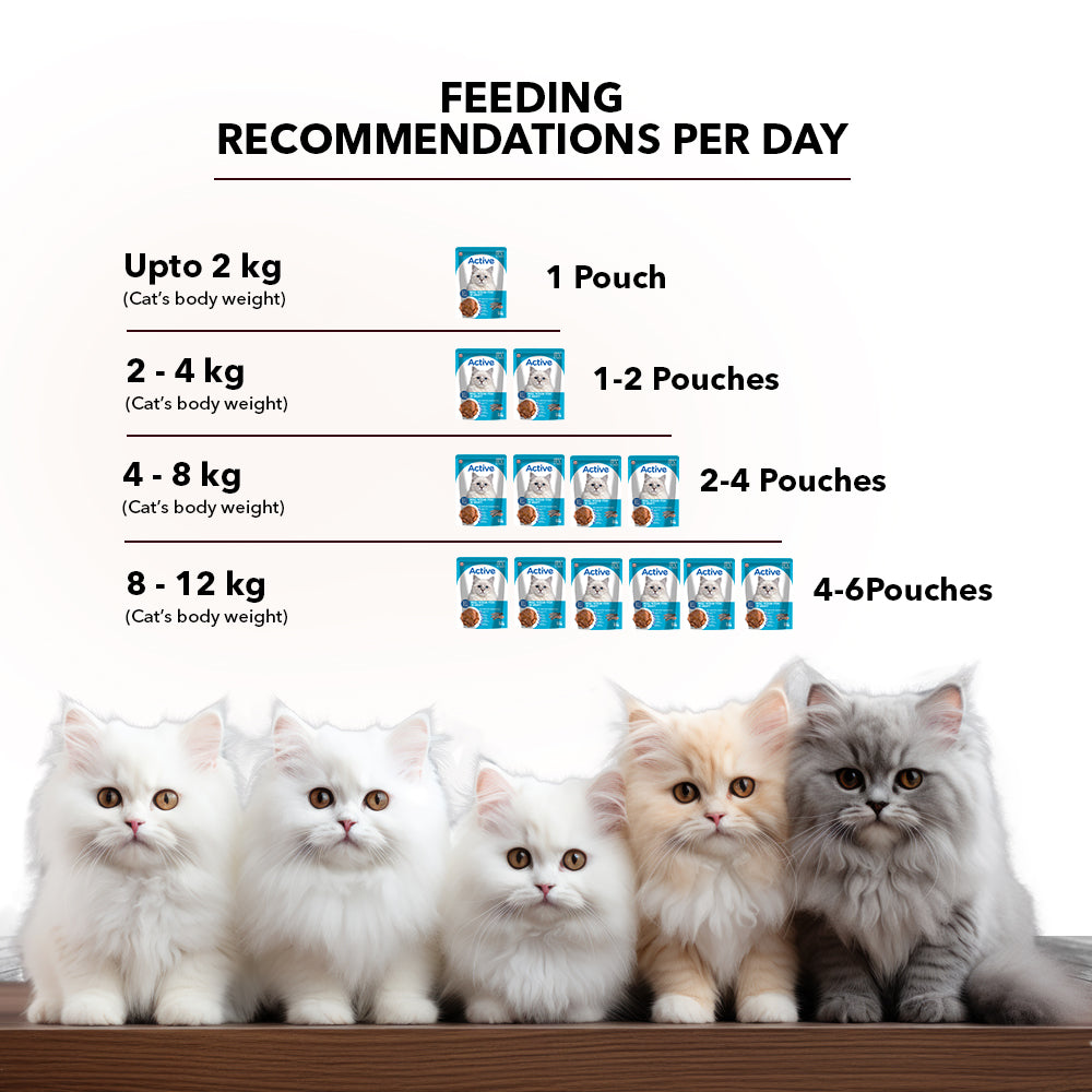 Active Real Ocean Fish in Gravy Adult Cat Wet Food ( Buy 1 Get 1) Cats-Wet Food Active