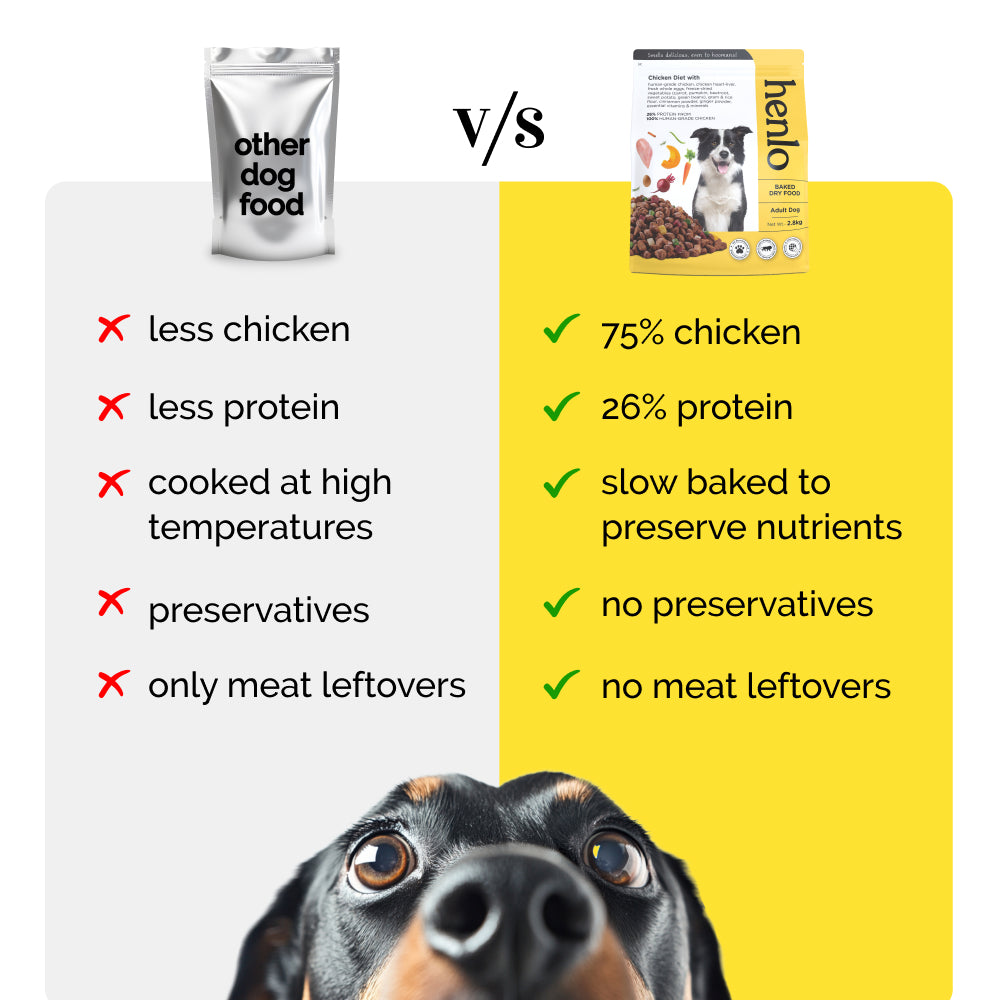 Henlo Chicken & Vegetable Baked Dry Food for Adult Dogs | 100% human grade ingredients