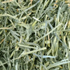Oxbow Alfalfa Hay Dry Food for Rabbits and Guinea Pigs Hamster & Guinea pigs Oxbow