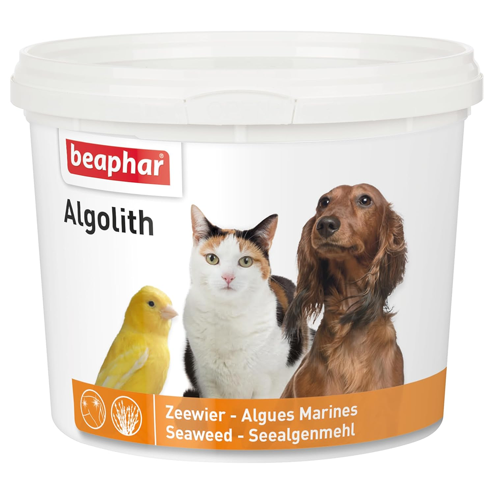 Beaphar Algolith Supplement for Dogs and Cats Both-Health & Wellness Beaphar