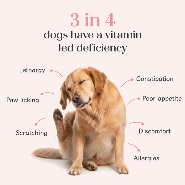 Hope All in One Chicken Flavoured Vitamins & Joint Support Supplement for Dogs