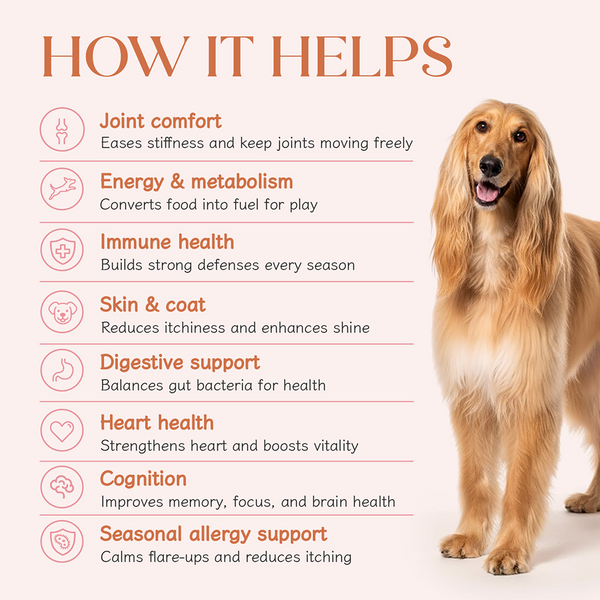 Hope All in One Chicken Flavoured Vitamins & Joint Support Supplement for Dogs