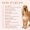Hope All in One Vegan Vitamins & Joint Support Supplement for Dogs Dogs-Health & Wellness Hope
