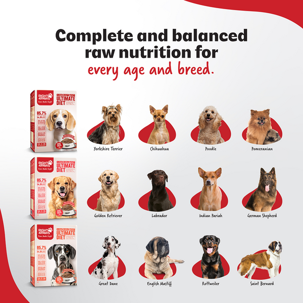 Right4Paws Ultimate Diet Taster Pack Adult Dog Dry Food